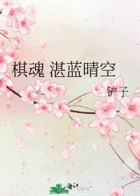 《棋魂 湛蓝晴空》