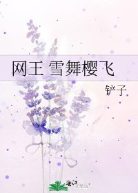 《网王 雪舞樱飞》