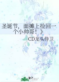 《圣诞节,面摊上捡回一个小帅哥!》