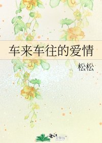 《车来车往的爱情》
