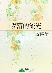 《陨落的流光》