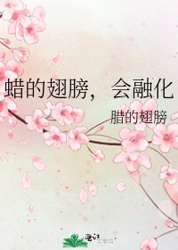 蜡的翅膀,会融化