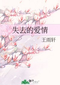 《失去的爱情》