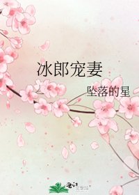 《冰郎宠妻》