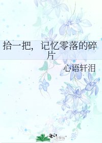 《拾一把,记忆零落的碎片》