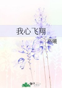 《我心飞翔》