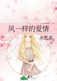 《风一样的爱情》
