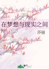 《在梦想与现实之间》