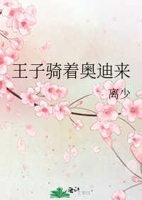 《王子骑着奥迪来》