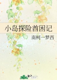 《小岛探险酋困记》