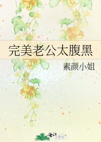 《完美老公太腹黑》