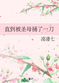 《直到被圣母捅了一刀》