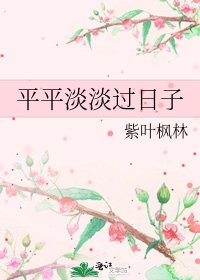 《平平淡淡过日子》