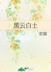 《黑云白土》