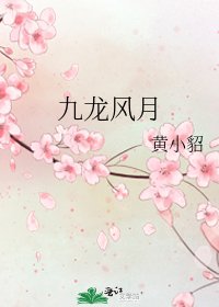 《九龙风月》