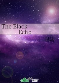 《The Black Echo》