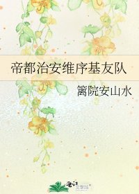 《帝都治安维序基友队》