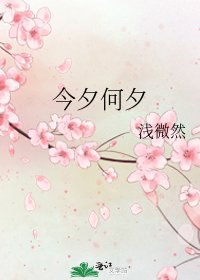 《今夕何夕》