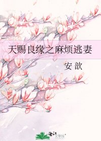 《天赐良缘之麻烦逃妻》
