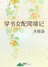 《穿书女配爬墙记》