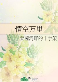 情空万里