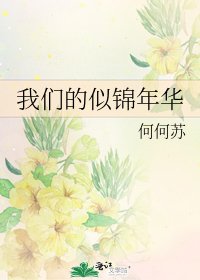 《我们的似锦年华》
