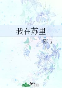 我在苏里