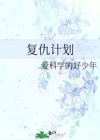 复仇计划