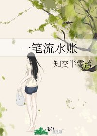 《一笔流水账》