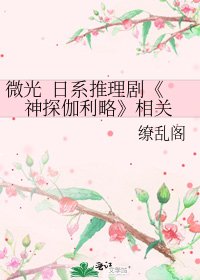 《神探伽利略》