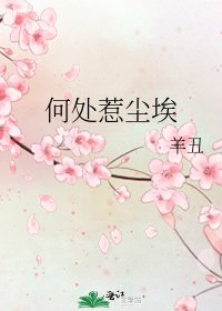 《何处惹尘埃》
