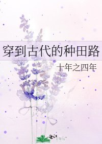 《穿到古代的种田路》