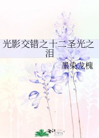 《光影交错之十二圣光之泪》