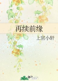 《再续前缘》