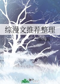《综漫文推荐整理》