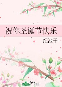 祝你圣诞节快乐