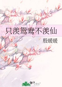 只羡鸳鸯不羡仙