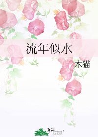 《流年似水》