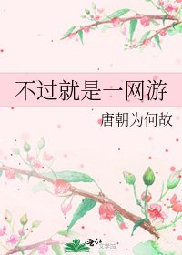 《不过就是一网游》