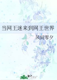 《当网王迷来到网王世界》