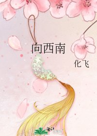 向西南