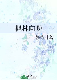 《枫林向晚》