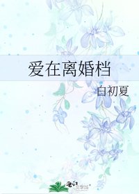 爱在离婚档