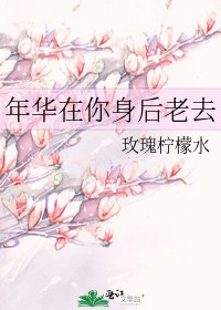 《年华在你身后老去》