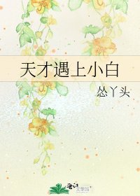 《天才遇上小白》