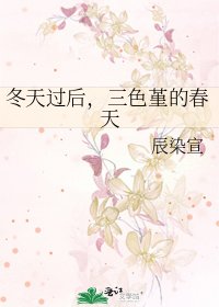 《冬天过后,三色堇的春天》