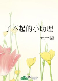 《了不起的小助理》