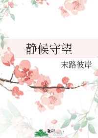 静候守望