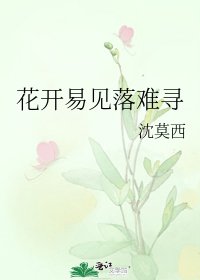 《花开易见落难寻》