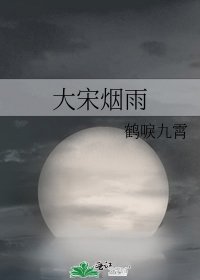 《大宋烟雨》